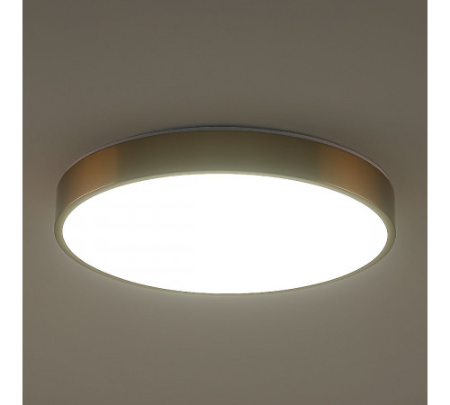 Потолочный светильник Zortes Tortty ZRS.02566.72 Потолочный светильник Zortes Tortty ZRS.02566.72