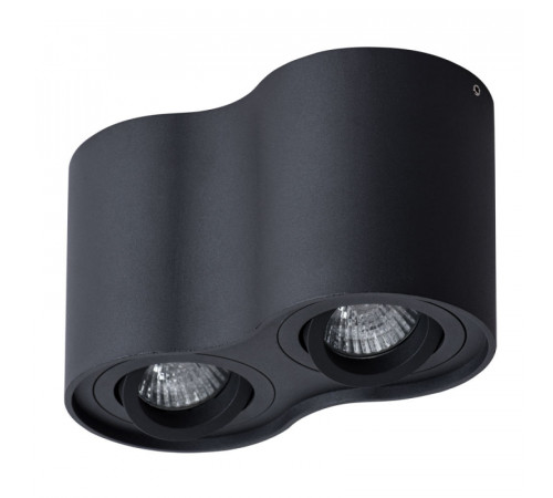 Потолочный светильник Arte Lamp Falcon A5645PL-2BK Потолочный светильник Arte Lamp Falcon A5645PL-2BK
