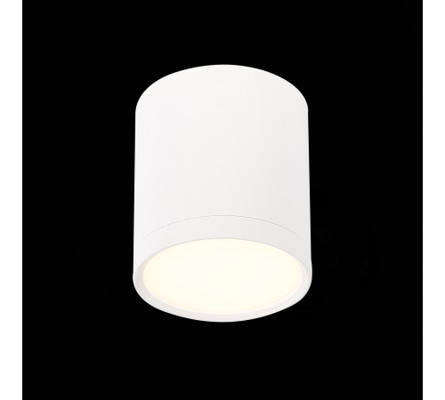 Потолочный светильник ST Luce Rene ST113.532.05 Потолочный светильник ST Luce Rene ST113.532.05