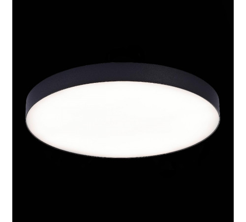 Потолочный светильник ST Luce ST606.442.96