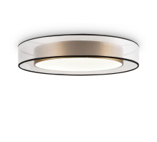 Потолочный светильник Freya Zoticus FR6005CL-L48G
