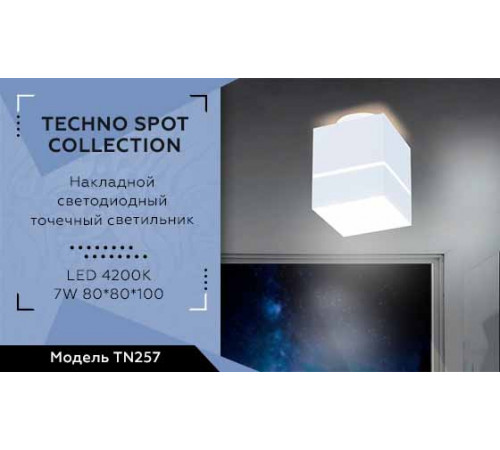 Потолочный светодиодный светильник Ambrella Light Techno Spot TN257 Потолочный светодиодный светильник Ambrella Light Techno Spot TN257