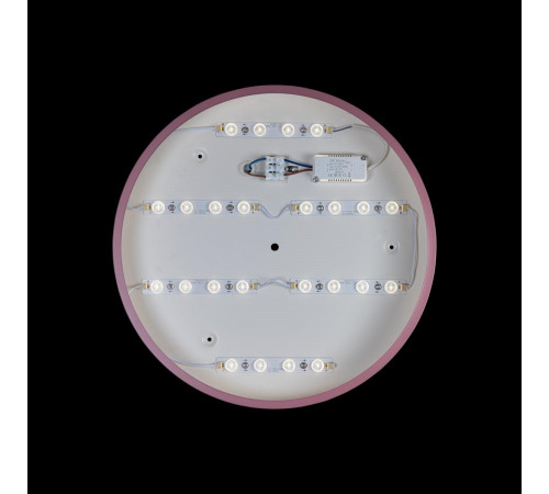 Потолочный светильник Loft IT AXEL 10003/24 Pink Потолочный светильник Loft IT AXEL 10003/24 Pink