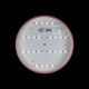 Потолочный светильник Loft IT AXEL 10003/24 Pink