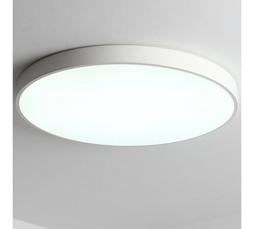 Потолочный светильник Zortes Tortty ZRS.02564.120 Потолочный светильник Zortes Tortty ZRS.02564.120