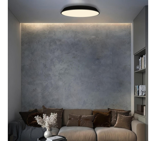 Потолочный светильник Loft IT Brim 10226 Black Потолочный светильник Loft IT Brim 10226 Black