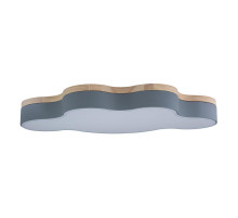 Потолочный светильник Loft IT AXEL 10005/36 Grey