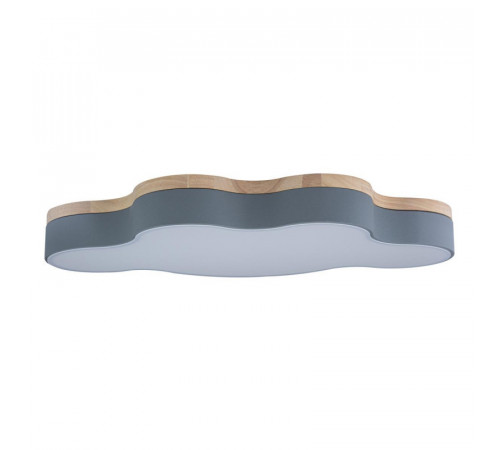 Потолочный светильник Loft IT AXEL 10005/36 Grey Потолочный светильник Loft IT AXEL 10005/36 Grey