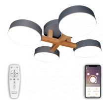 Потолочный светильник Natali Kovaltseva LED LAMPS 81330