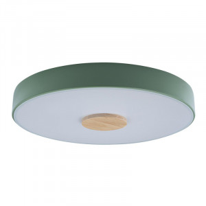 Потолочный светильник Loft IT AXEL 10003/24 Green