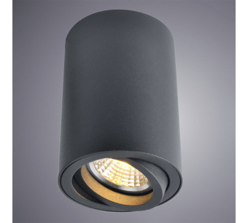 Потолочный светильник Arte Lamp A1560PL-1BK Потолочный светильник Arte Lamp A1560PL-1BK