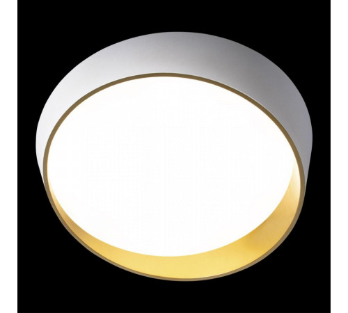 Потолочный светильник Loft IT Coin 10199 White Потолочный светильник Loft IT Coin 10199 White