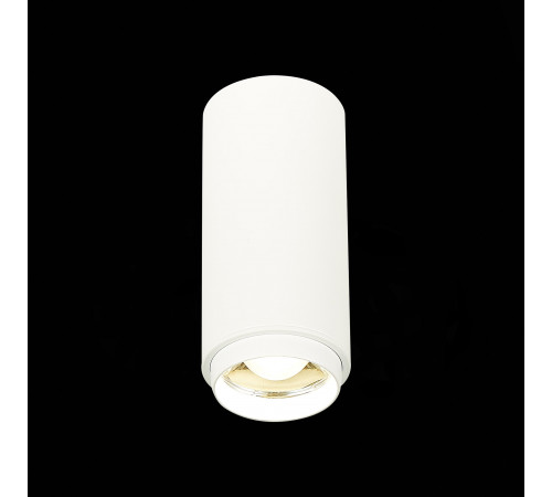 Потолочный светильник ST Luce Zoom ST600.542.10 Потолочный светильник ST Luce Zoom ST600.542.10