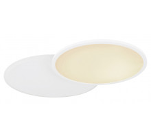 Потолочный светильник Globo Samu 48124D2