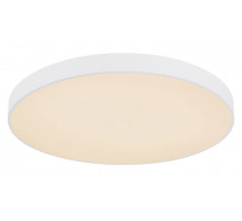 Потолочный светильник Globo Leanara 41756-48W