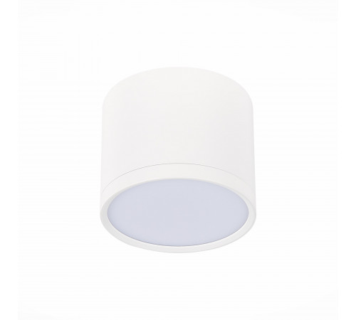 Потолочный светильник ST Luce Rene ST113.542.09 Потолочный светильник ST Luce Rene ST113.542.09