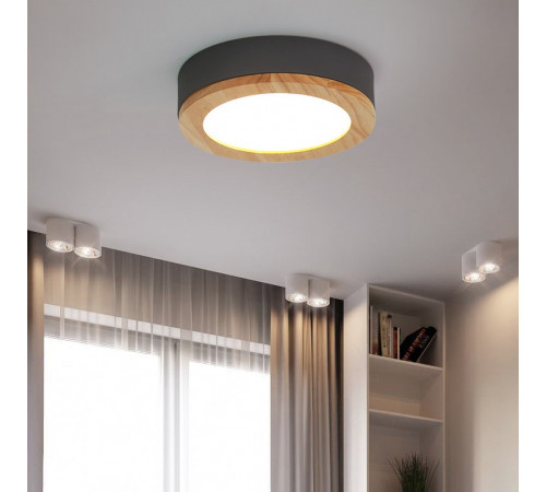Потолочный светильник ImperiumLoft Wudda 179770-26 Потолочный светильник ImperiumLoft Wudda 179770-26