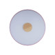 Потолочный светильник Loft IT AXEL 10003/24 Pink