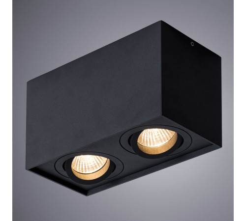 Потолочный светильник Arte Lamp Factor A5544PL-2BK