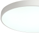 Потолочный светильник Zortes Tortty ZRS.02564.120