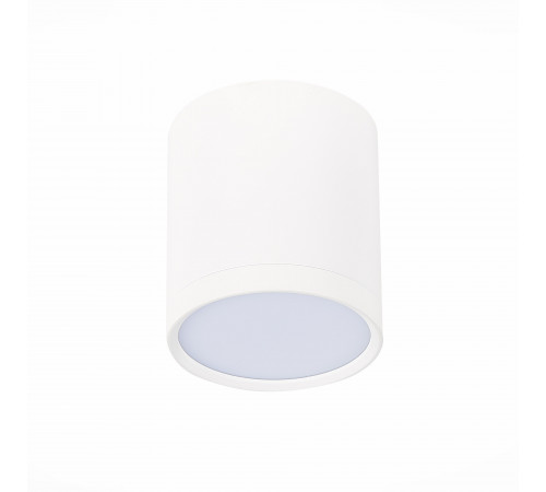 Потолочный светильник ST Luce Rene ST113.532.05 Потолочный светильник ST Luce Rene ST113.532.05