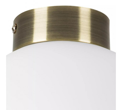 Потолочный светильник Lightstar Globo 812021 Потолочный светильник Lightstar Globo 812021