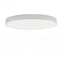 Потолочный светильник Zortes Tortty ZRS.02565.96