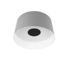 Потолочный светильник Loft IT Duo 10360M Grey