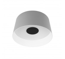 Потолочный светильник Loft IT Duo 10360M Grey