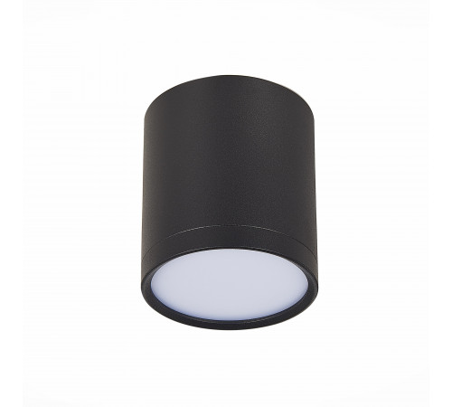 Потолочный светильник ST Luce Rene ST113.442.05 Потолочный светильник ST Luce Rene ST113.442.05