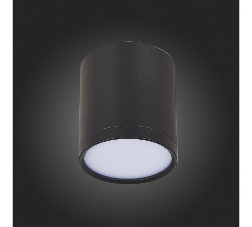 Потолочный светильник ST Luce Rene ST113.442.05 Потолочный светильник ST Luce Rene ST113.442.05