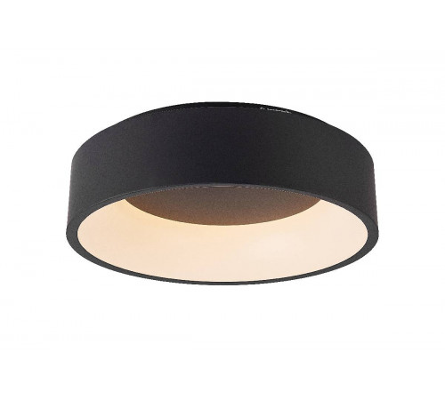 Потолочный светильник Myfar Shannon MR2193-1PL Потолочный светильник Myfar Shannon MR2193-1PL