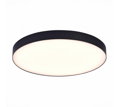 Потолочный светильник ST Luce ST606.432.96 Потолочный светильник ST Luce ST606.432.96