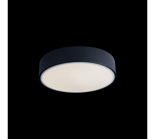 Потолочный светильник Loft IT AXEL 10002/12 Black Потолочный светильник Loft IT AXEL 10002/12 Black