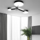 Потолочный светильник ImperiumLoft Mida 151503-26