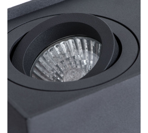 Потолочный светильник Arte Lamp Factor A5544PL-2BK