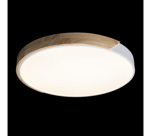 Потолочный светильник Loft IT AXEL 10004/36 White Потолочный светильник Loft IT AXEL 10004/36 White