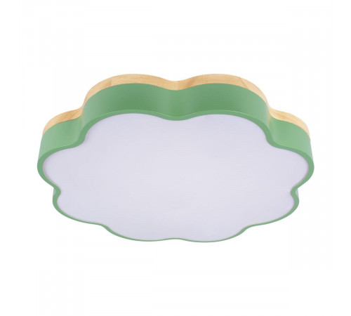 Потолочный светильник Loft IT Axel 10225/36 Green