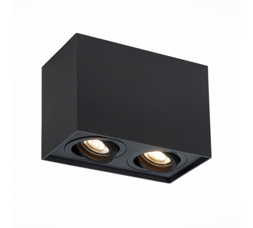 Потолочный светильник ST LUCE ST109.407.02 Потолочный светильник ST LUCE ST109.407.02