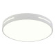 Потолочный светильник Natali Kovaltseva Modern LED LAMPS 81334