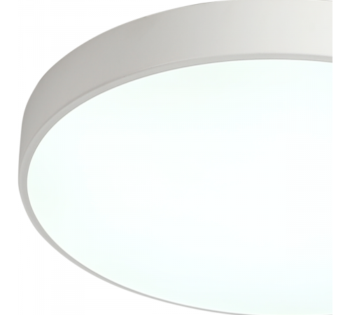 Потолочный светильник Zortes Tortty ZRS.02564.72 Потолочный светильник Zortes Tortty ZRS.02564.72