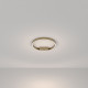 Потолочный светильник Maytoni Rim MOD058CL-L25BSK
