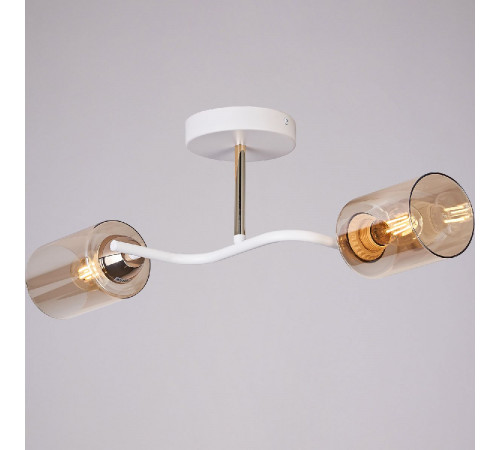 Потолочный светильник Illumico IL8148-2COU-79 WH GD Bice