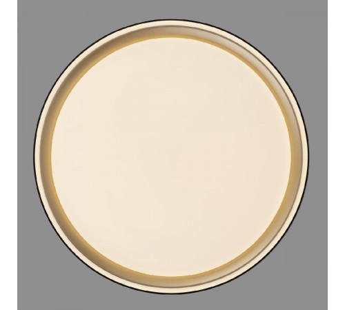 Потолочный светильник Citilux Boss CL751251G Потолочный светильник Citilux Boss CL751251G