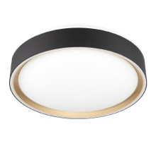 Потолочный светильник Citilux Boss CL751251G
