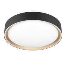 Потолочный светильник Citilux Boss CL751251G