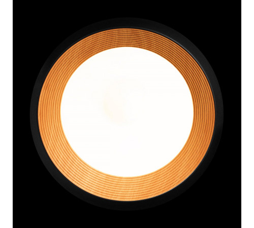 Потолочный светильник Loft IT Folk 10255/500 Black Потолочный светильник Loft IT Folk 10255/500 Black