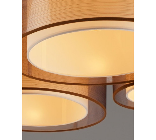 Потолочный светильник Moderli Room V10624-5C Потолочный светильник Moderli Room V10624-5C