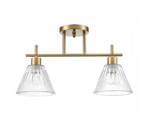 Потолочный светильник Lumion Vivian 8188/2C Потолочный светильник Lumion Vivian 8188/2C