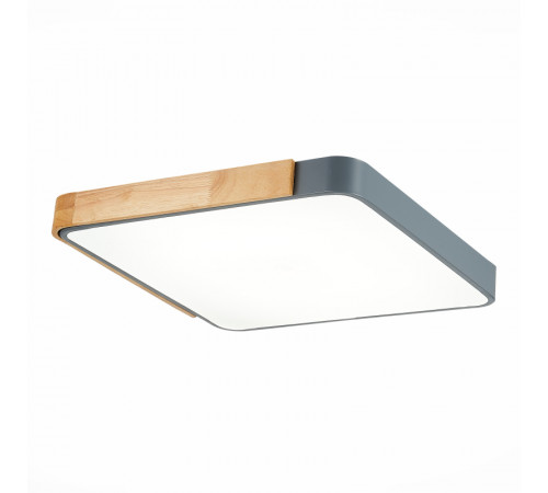 Потолочный светильник Evoluce Festa SLE201272-01